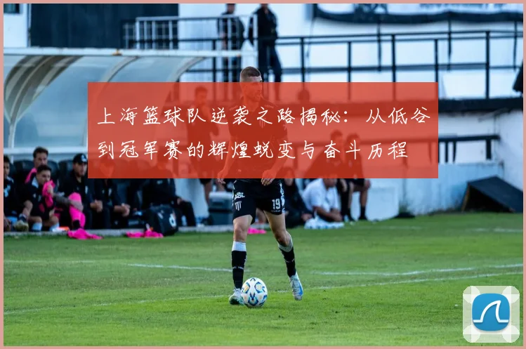 上海篮球队逆袭之路揭秘：从低谷到冠军赛的辉煌蜕变与奋斗历程
