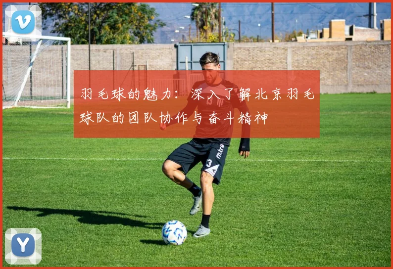 羽毛球的魅力：深入了解北京羽毛球队的团队协作与奋斗精神
