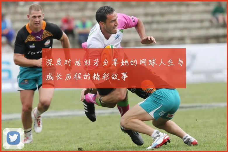 深度对话刘芳分享她的网球人生与成长历程的精彩故事