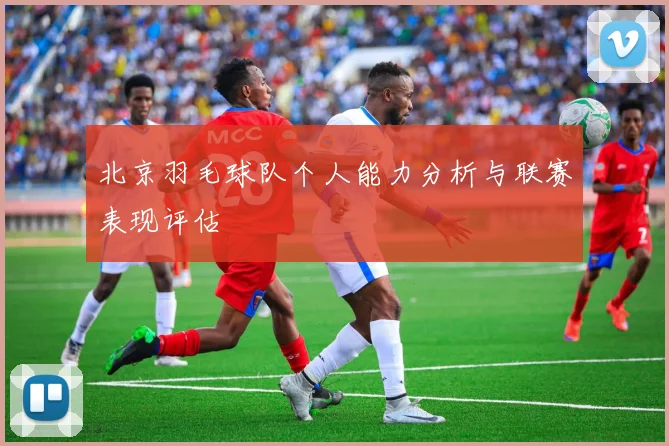 北京羽毛球队个人能力分析与联赛表现评估
